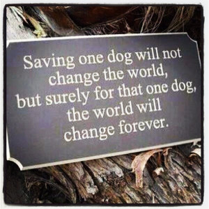 Animal Rescue Quotes