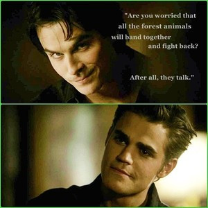 The Vampire Diaries 2x02 Damon&Stefan quote by ♥Lollie ♆ CREDIT OR ...