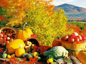 We hope you enjoy this free Fall Harvest wallpaper download from our ...