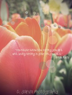 Quote by Hannah Ruth (Passed away from CF) Photography by C. Jarvis ...
