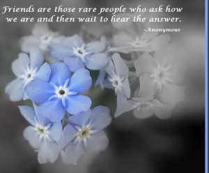 Friends Are Those Rare People