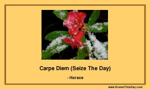 Carpe Diem (Seize The Day)