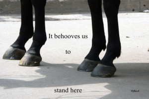 If you are going to speak your mind, then you need a good mind to ...