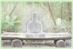 anger is poison quotes, patience quotes with Buddha picture