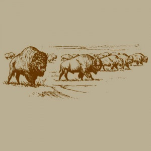 American Bison Buffalo Tonal Nature Graphic Print T-shirt