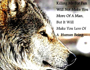 Wisdom wolves animals anti-hunting quote:High Contrast