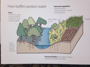 Dayton buffer quotes: guv challenges farmers to “look into their ...