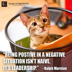 ... leadership # quote # leadership # lead4growth # cat quotes leadership