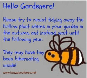 Bee Quotes And Proverbs. Stop being so 'tidy'! Create natural habitats ...