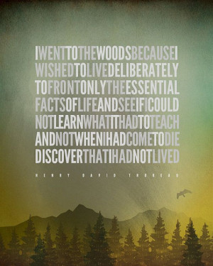 SUMMER SALE 12.99! Henry David Thoreau – I went to the woods... [No ...