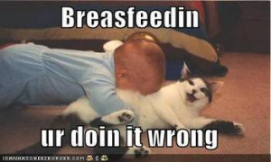 funny-pictures-cat-breastfeeds-baby