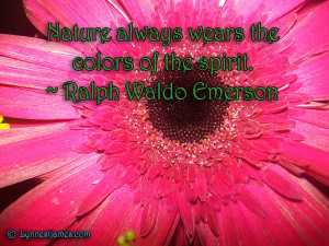 quotes, peace, beauty, flowers, ralph waldo emerson, emerson, nature ...