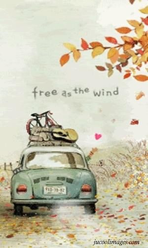 bohemian, free, happy, hippie, hippy, wind