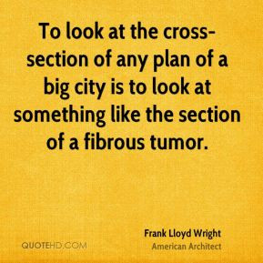 To look at the cross-section of any plan of a big city is to look at ...