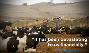 Dairy Farming Quotes