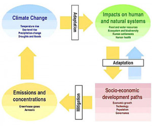 Carbon Sequestration To Mitigate Climate Change