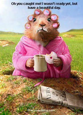 Uploaded to Pinterest