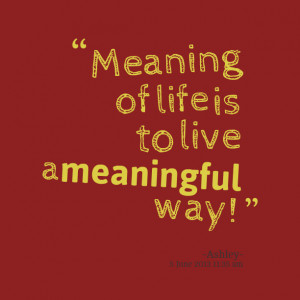 Quotes Picture: meaning of life is to live a meaningful way!