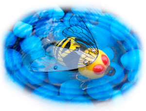 Funny Quotes Contact Us DMCA Notice