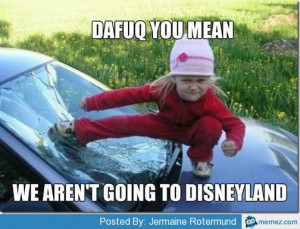 Not going to Disneyland