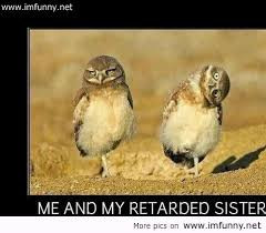 Funny Quotes About Sisters And Brothers Funny sayings on brothers,