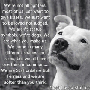 Love A Staffordshire Bull Terrier!