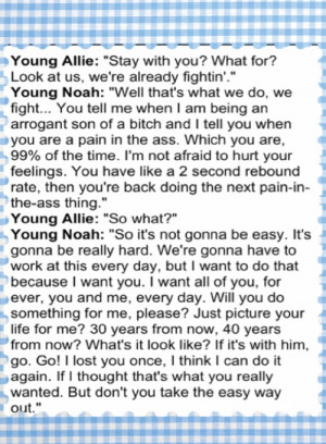 The notebook : what do you want