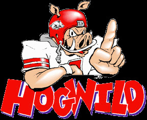 Arkansas Razorback Image