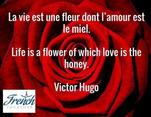 La vie est une fleur dont l’amour est le miel .