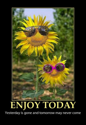 enjoy today quote funny sun flowers