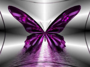 purple-butterfly.jpg Images