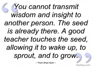 you cannot transmit wisdom and insight to thich nhat hanh