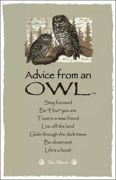 ... Owls to me! This would also fit in my Deep, Thoughtful and Funny