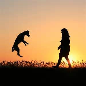 Uploaded to Pinterest