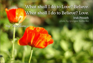 love quotes, believe quotes, belief quotes, Irish Proverb, what shall ...