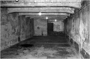 Concentration Camps Gas Chambers