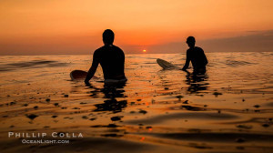 fun surf water beach sand ocean wave sunset sunrise Pictures