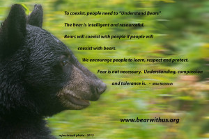 bear-quote-by-mikeaug-2013d80_7355