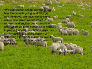 We are discreet sheep...