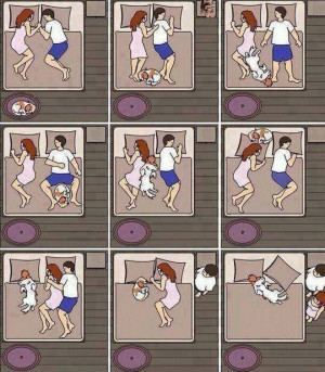 Cartoon hilariously illustrates what it’s like to sleep with dogs!