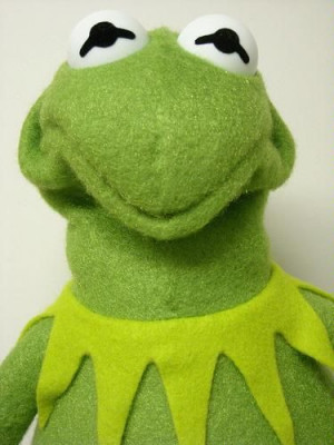 kermit the frog sad face