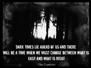 Dark times lie ahead of us and there will be a time when we must ...