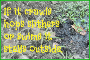 Country Sayings If it crawls quote idioms and memes