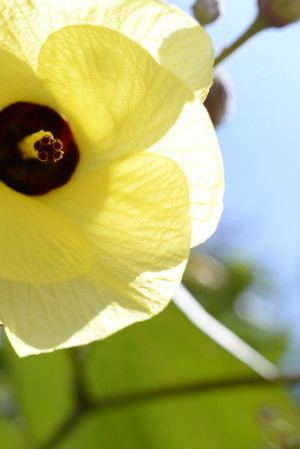 on the healing power of nature