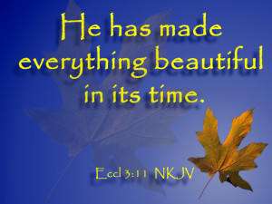 Worship Background for Fall based on the Bible verse, Ecclesiastes 3 ...