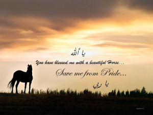 Horses & Islam