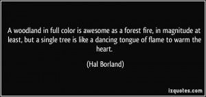 woodland in full color is awesome as a forest fire, in magnitude at ...