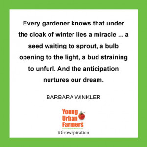 quote friday february credited