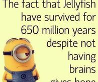 up today quote quotes funny humor bill 2015 04 11 13 25 25 minion ...