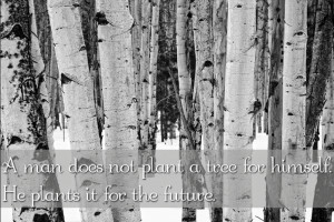 man does not plant a tree for himself. He plants it for the future.
